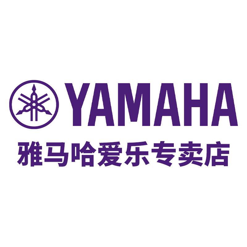雅马哈爱乐乐器吉他直播间