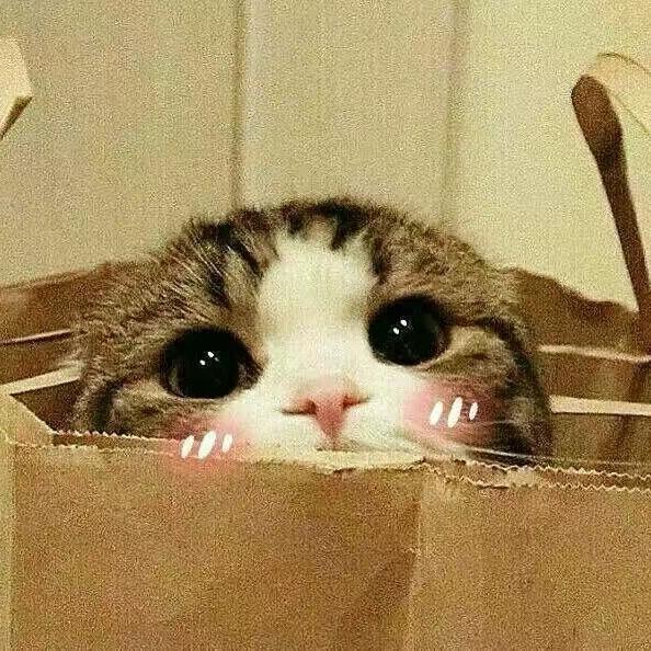 哈哈嚯哈