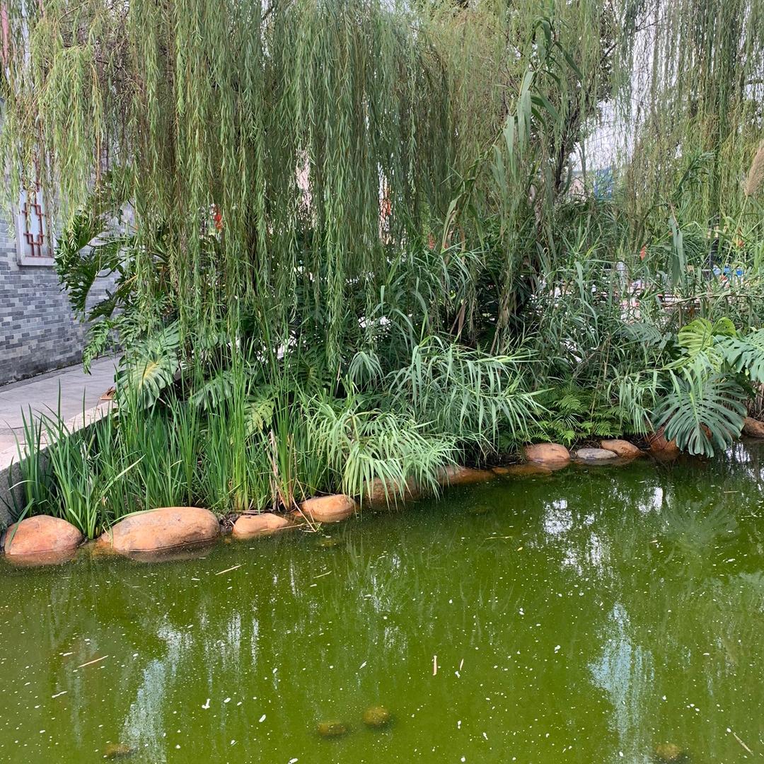 凡凡呀