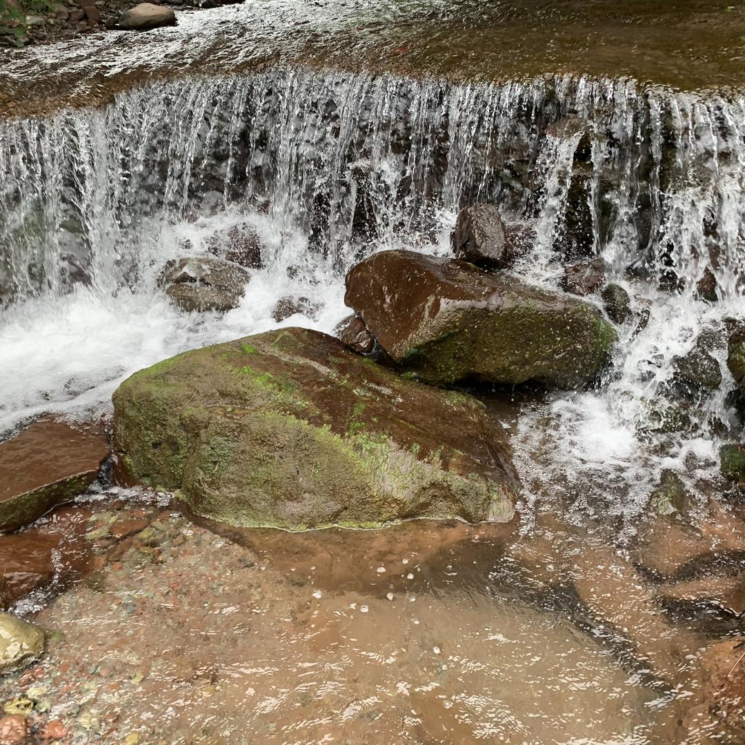 恩施市学峰土特产店