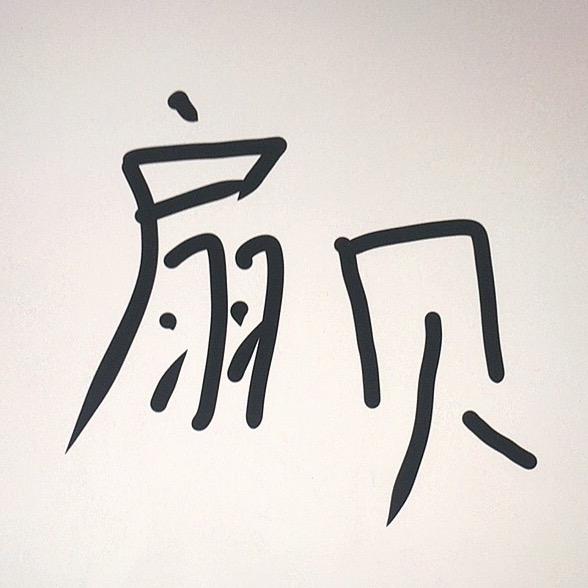 扇贝工作室