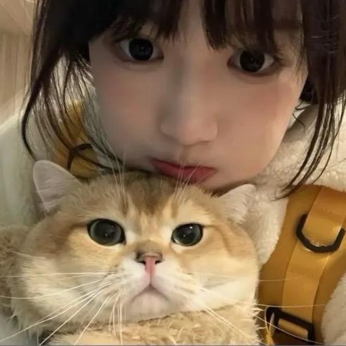 S好き