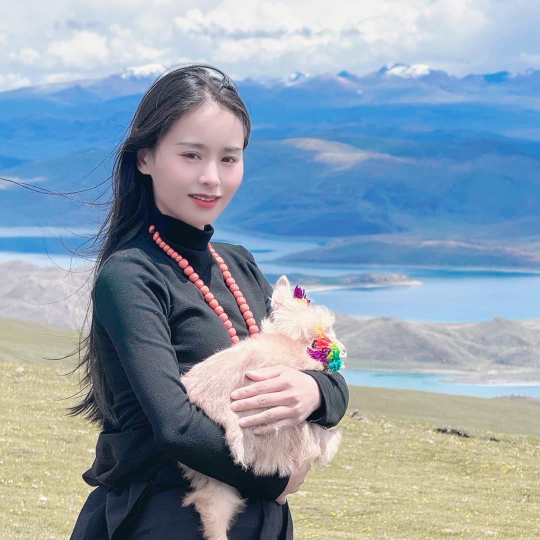 云旅行