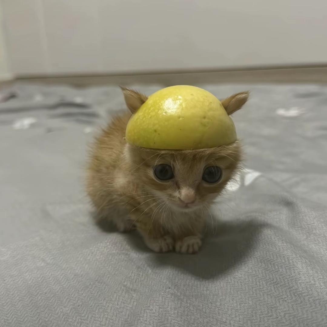 烦