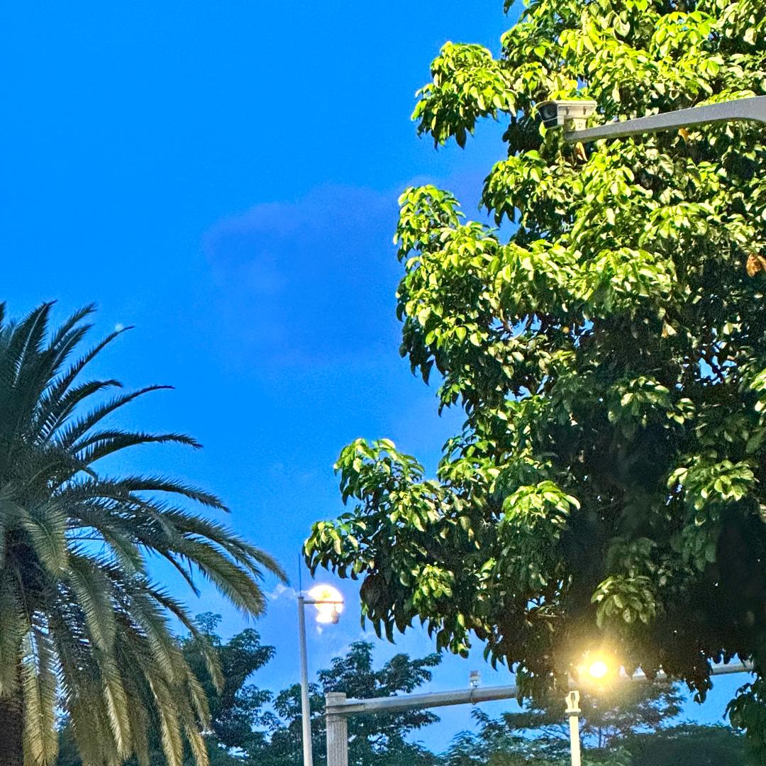 不知什么名