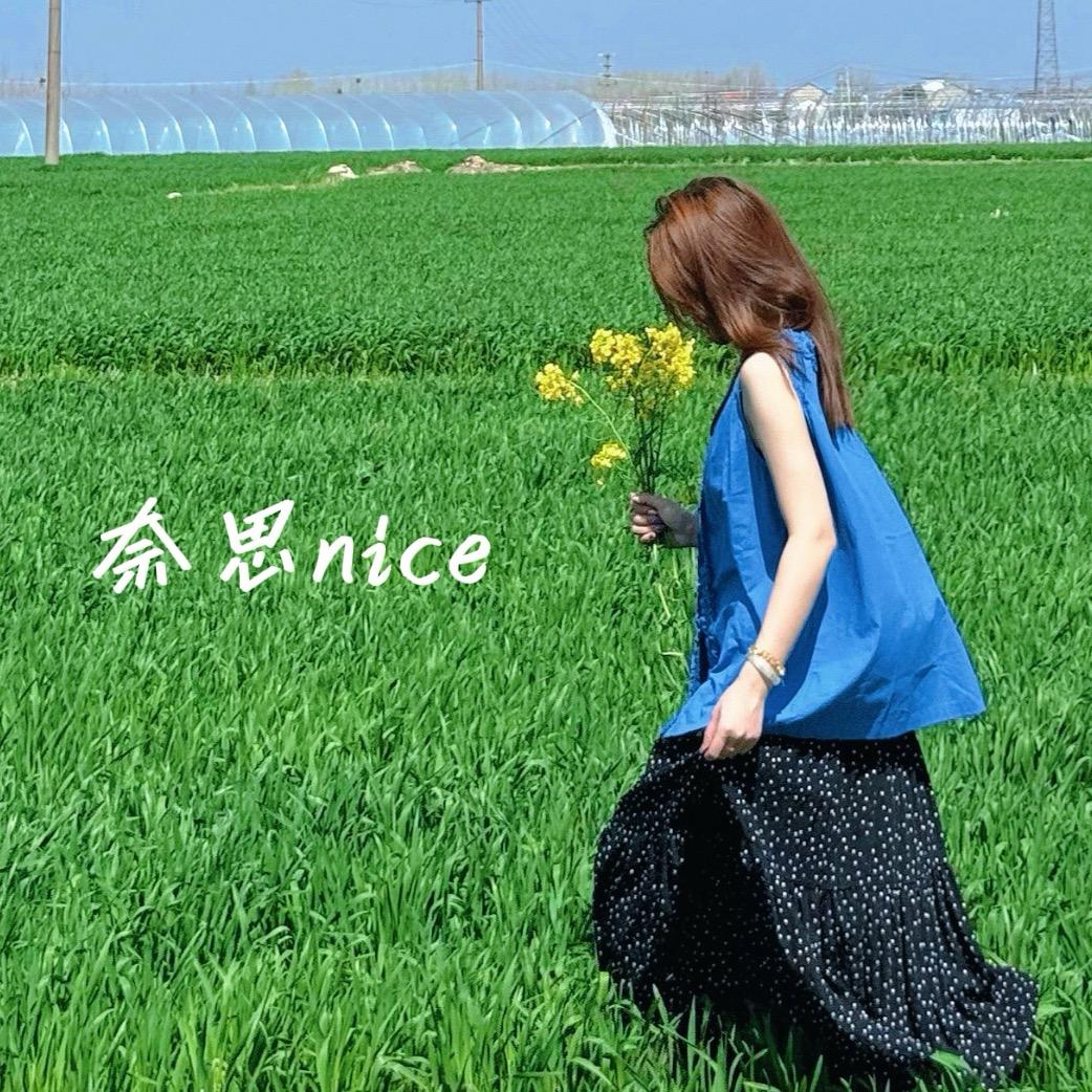 奈思NICE