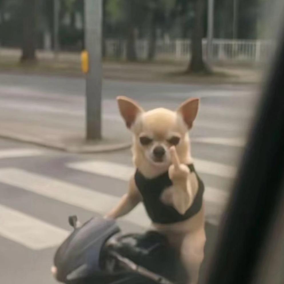 麦兜兜兜兜兜兜🍅