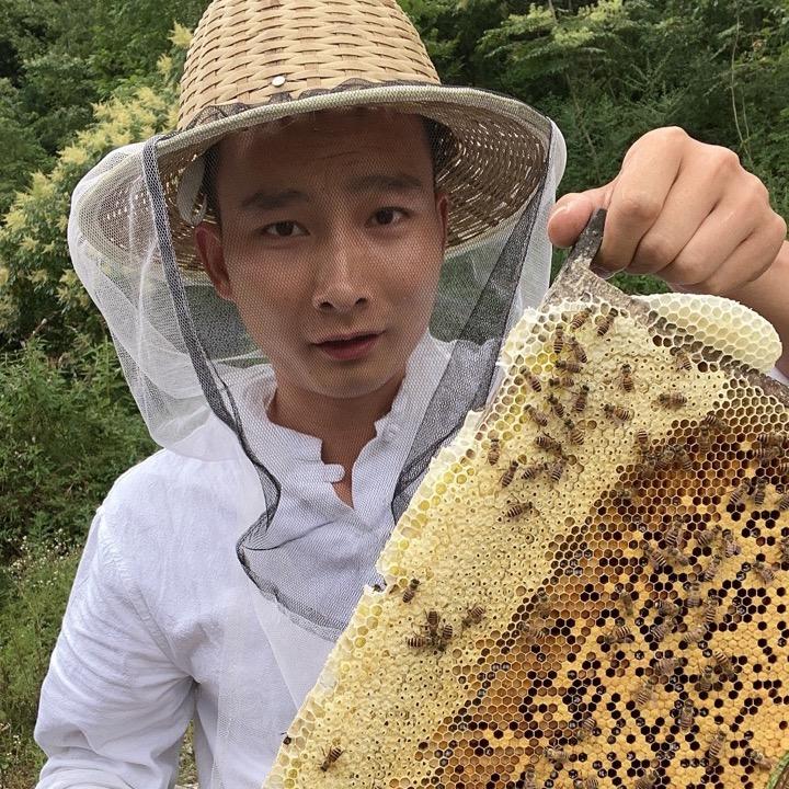 小威农村养蜂生活