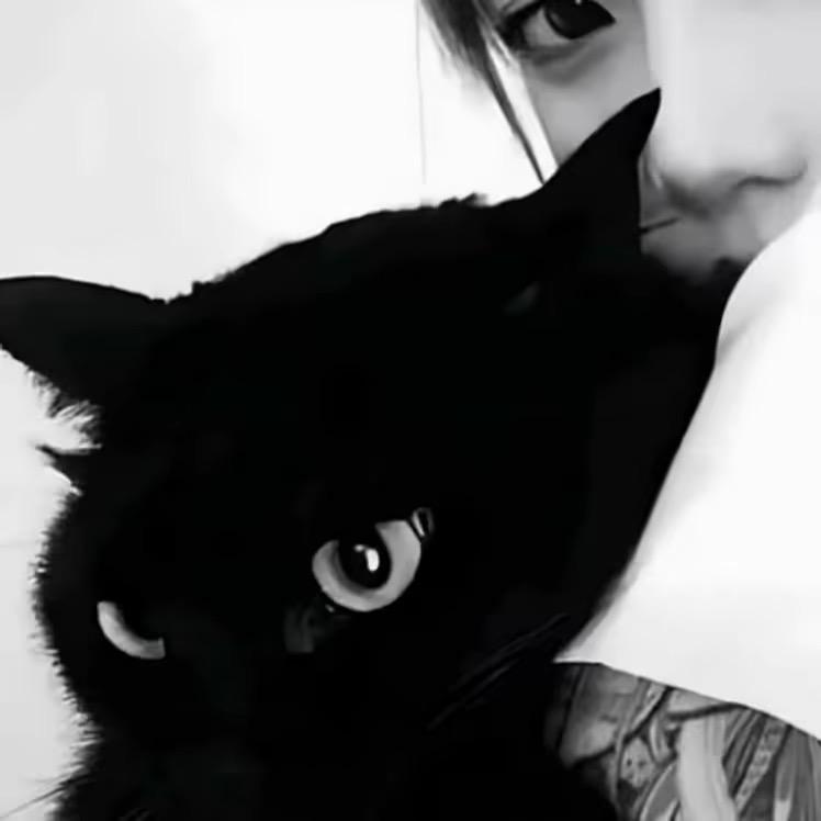 分别总是在九月