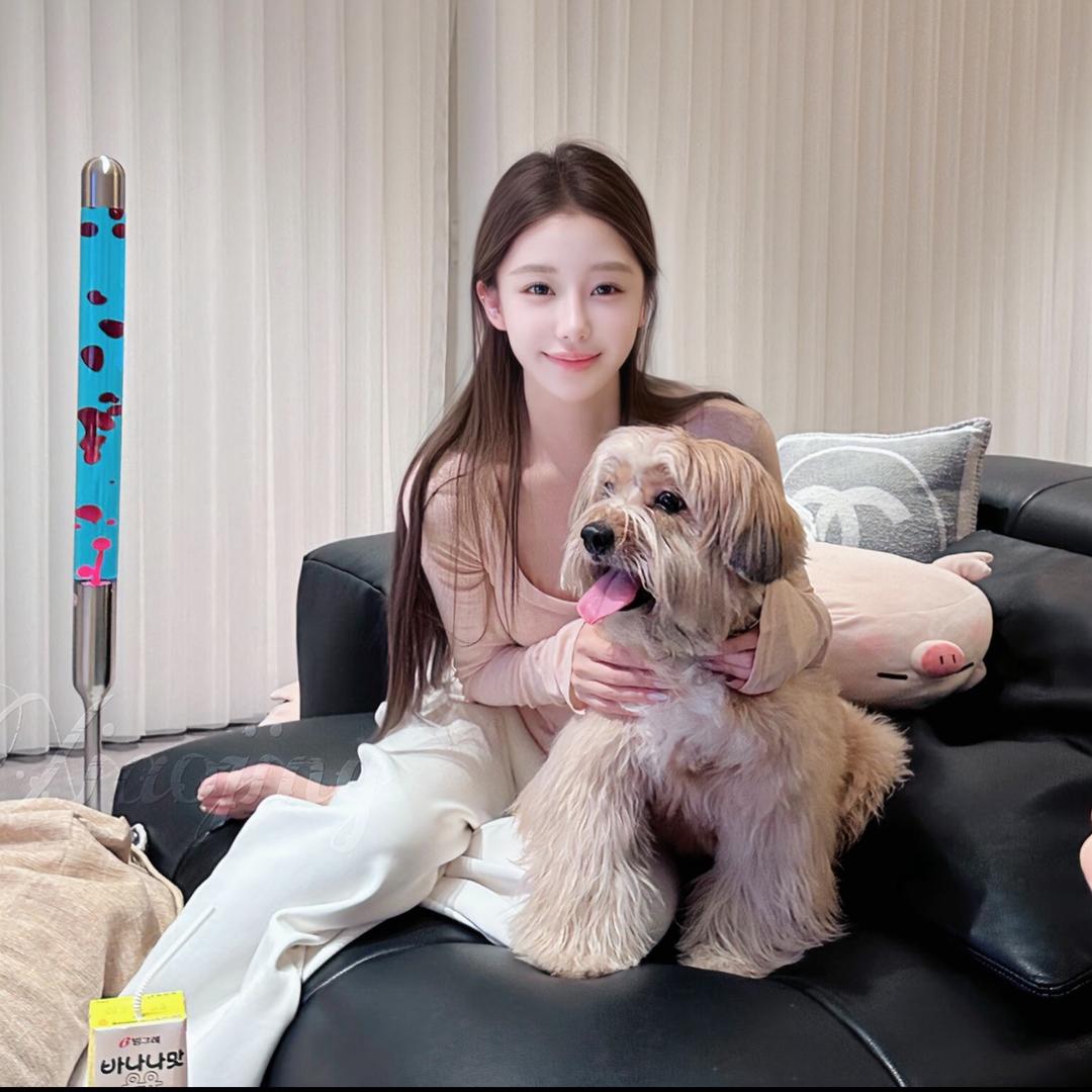 鲸红文化-美美👸