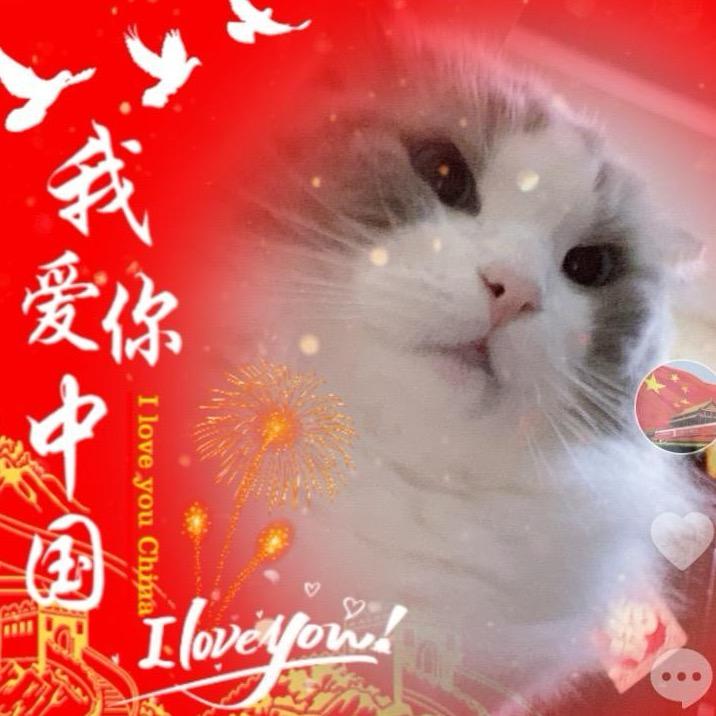 我要挣猫粮