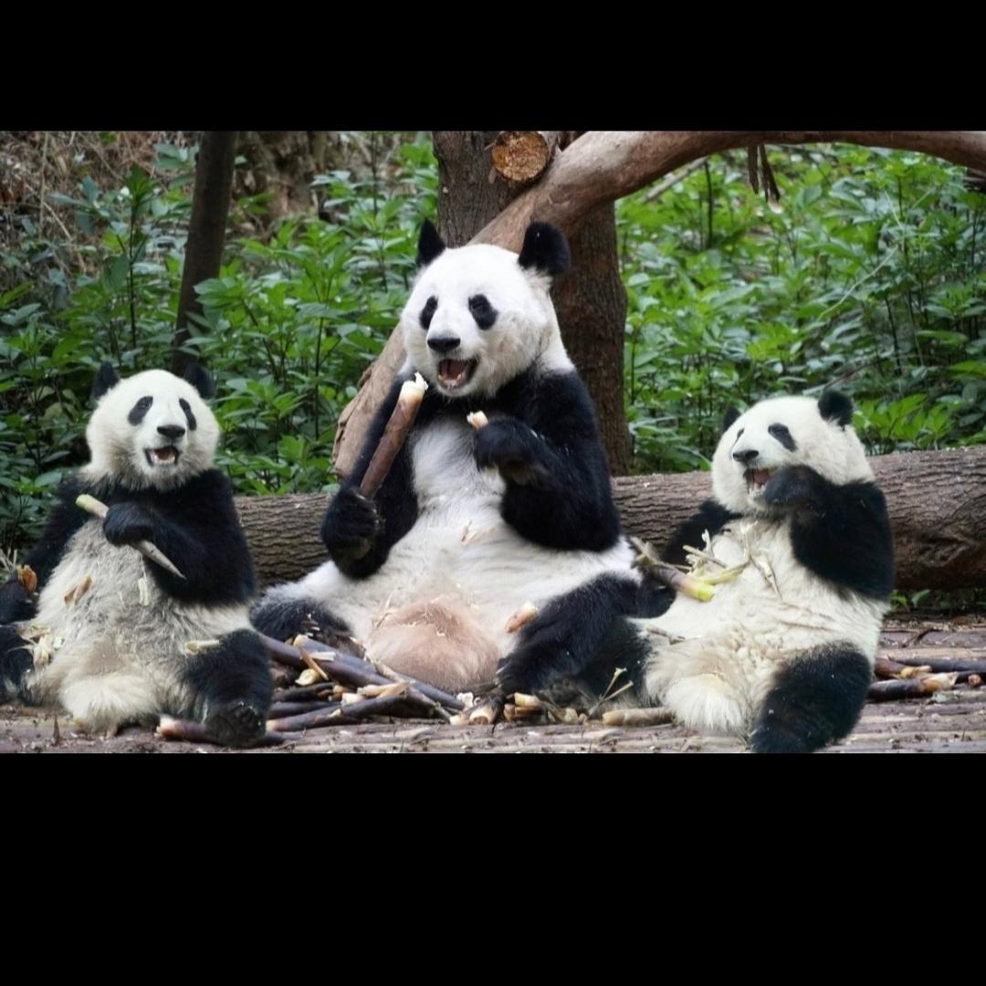 ❤️小甜甜❤️