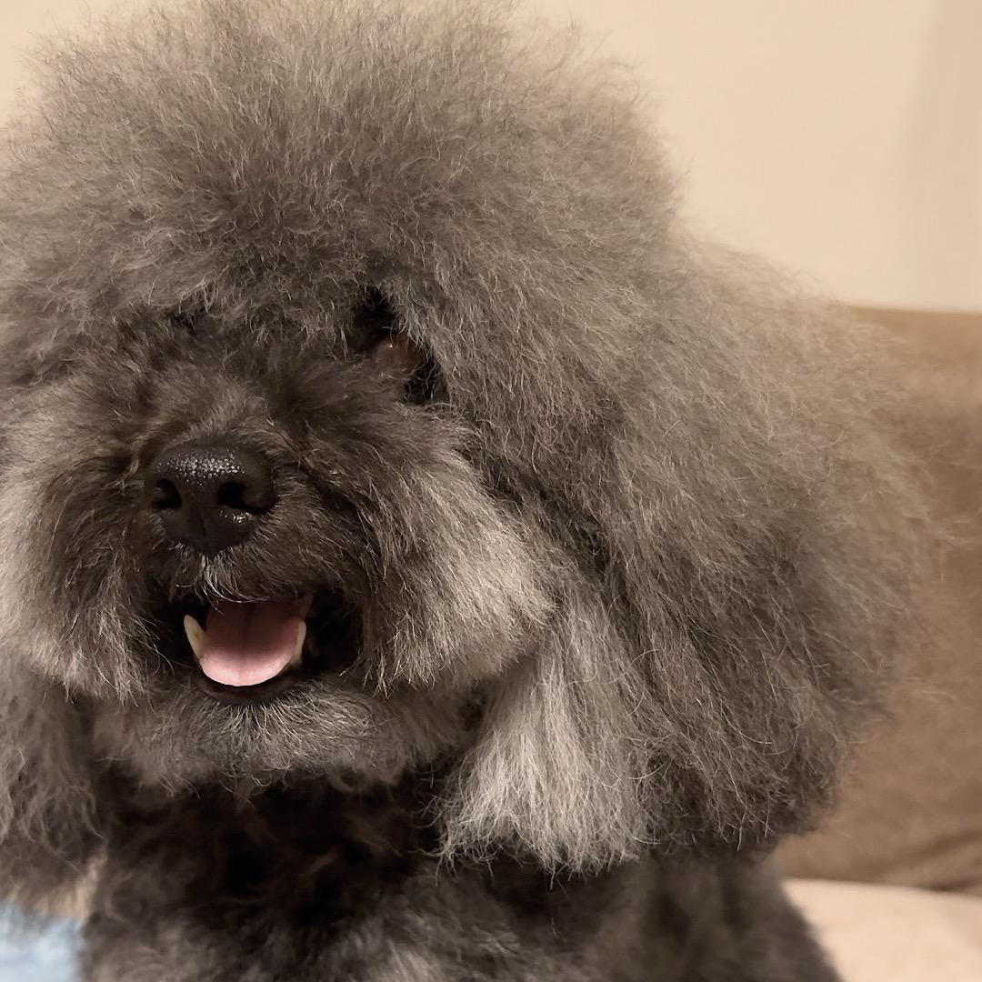 蛋蛋宝贝——糖小宝