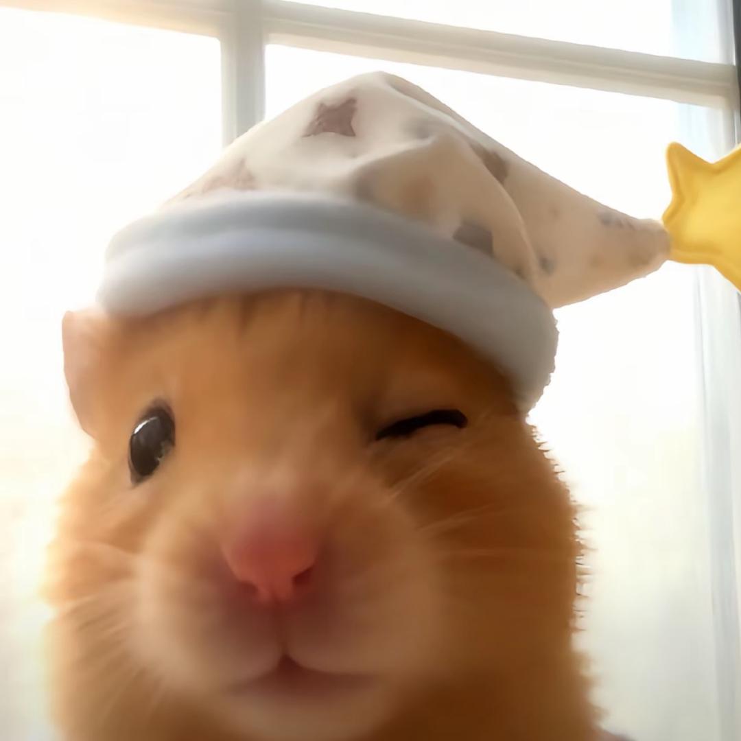 o-o