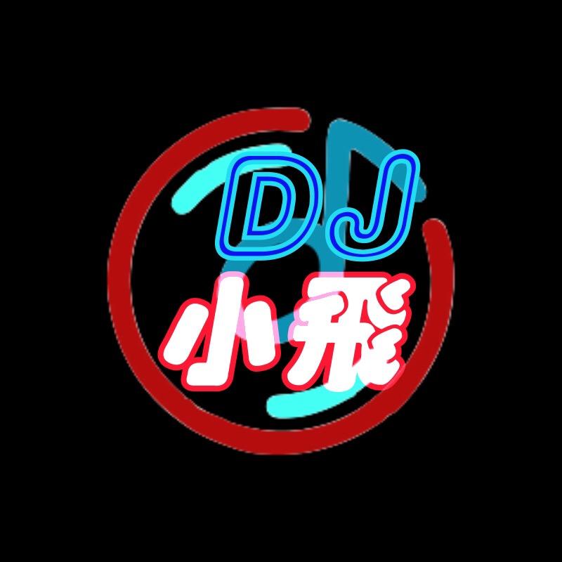 DJ小飞经典嗨曲（优盘）