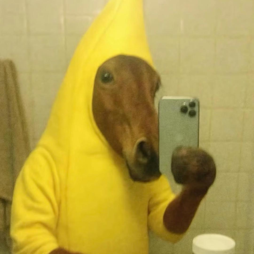 周游H