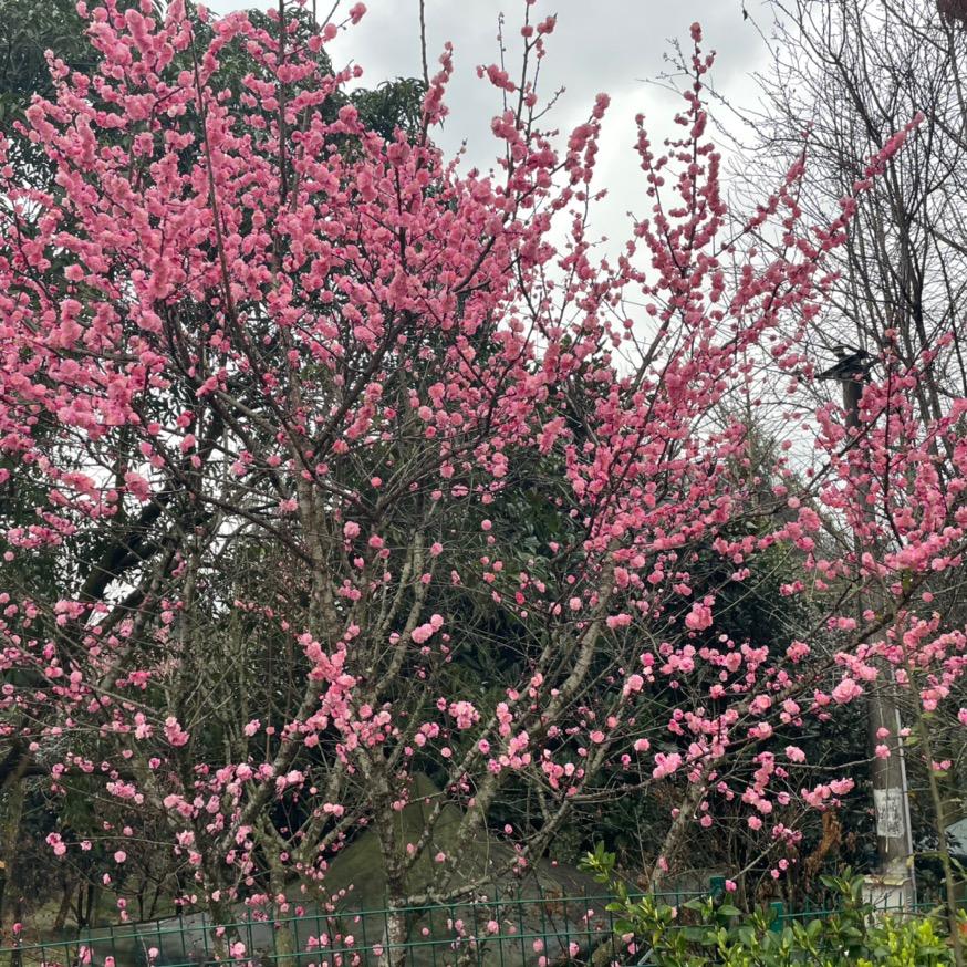 静静⊙﹏⊙^O^^O^