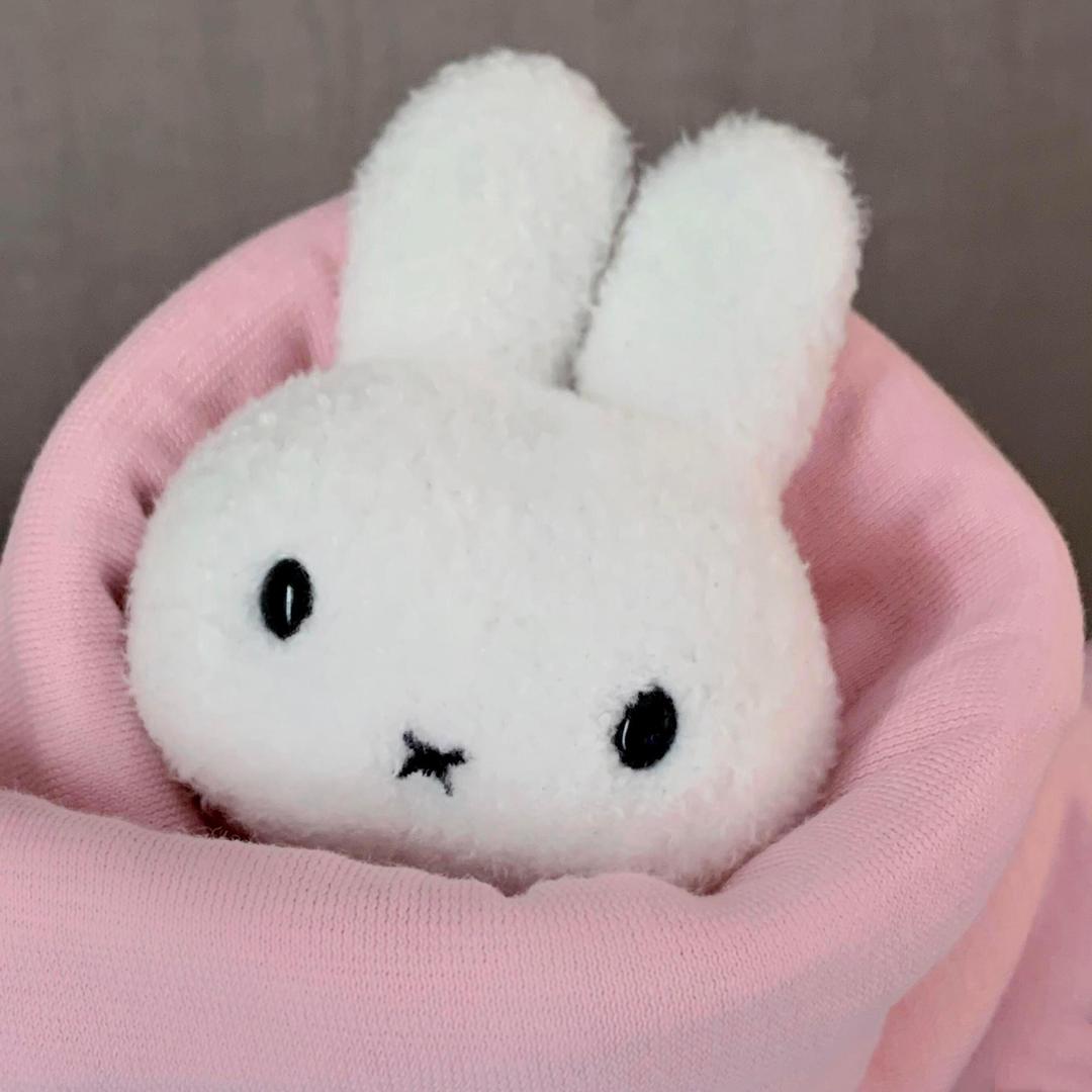 救命我变成了一只兔