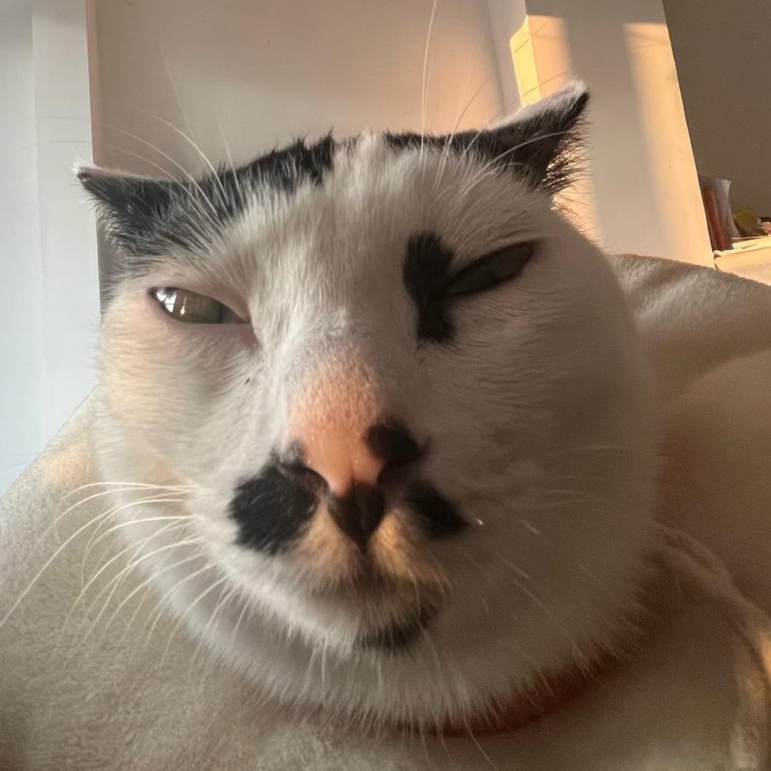 驼色的南洋红香蕉🍌