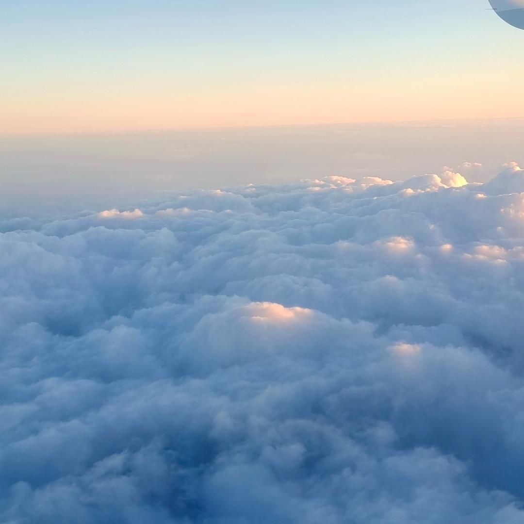 抖一抖，闹一闹