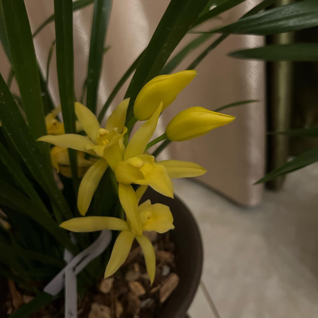 余生