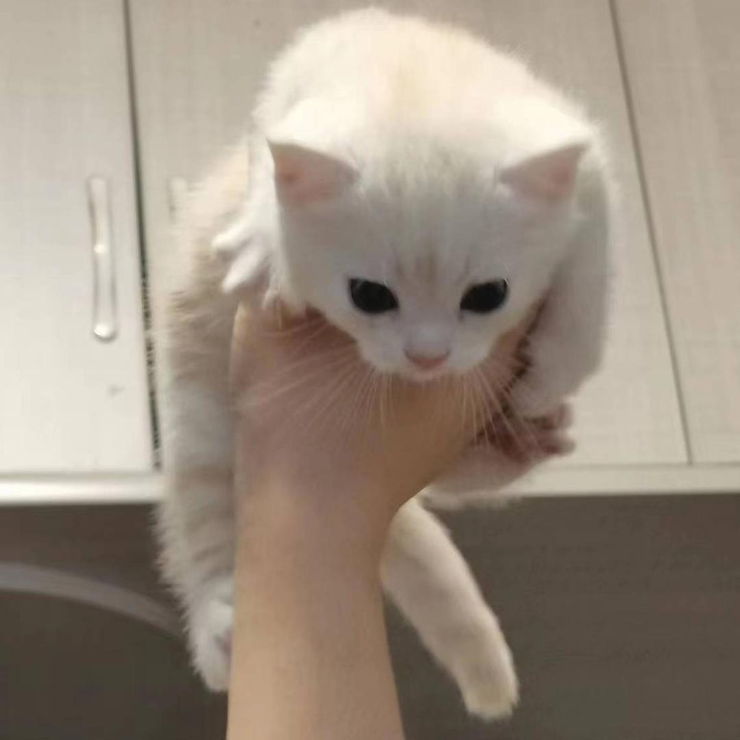 用户5437945434