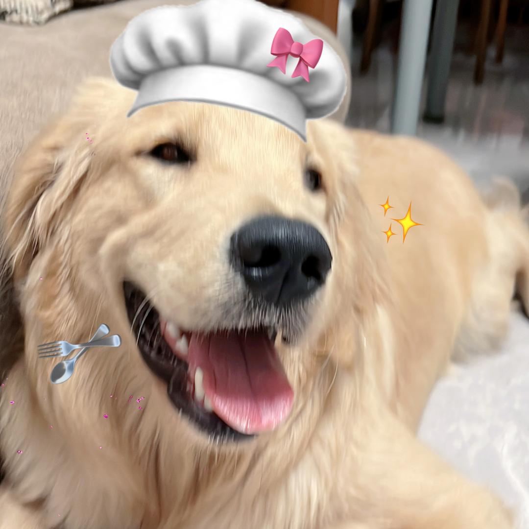 汤圆不圆