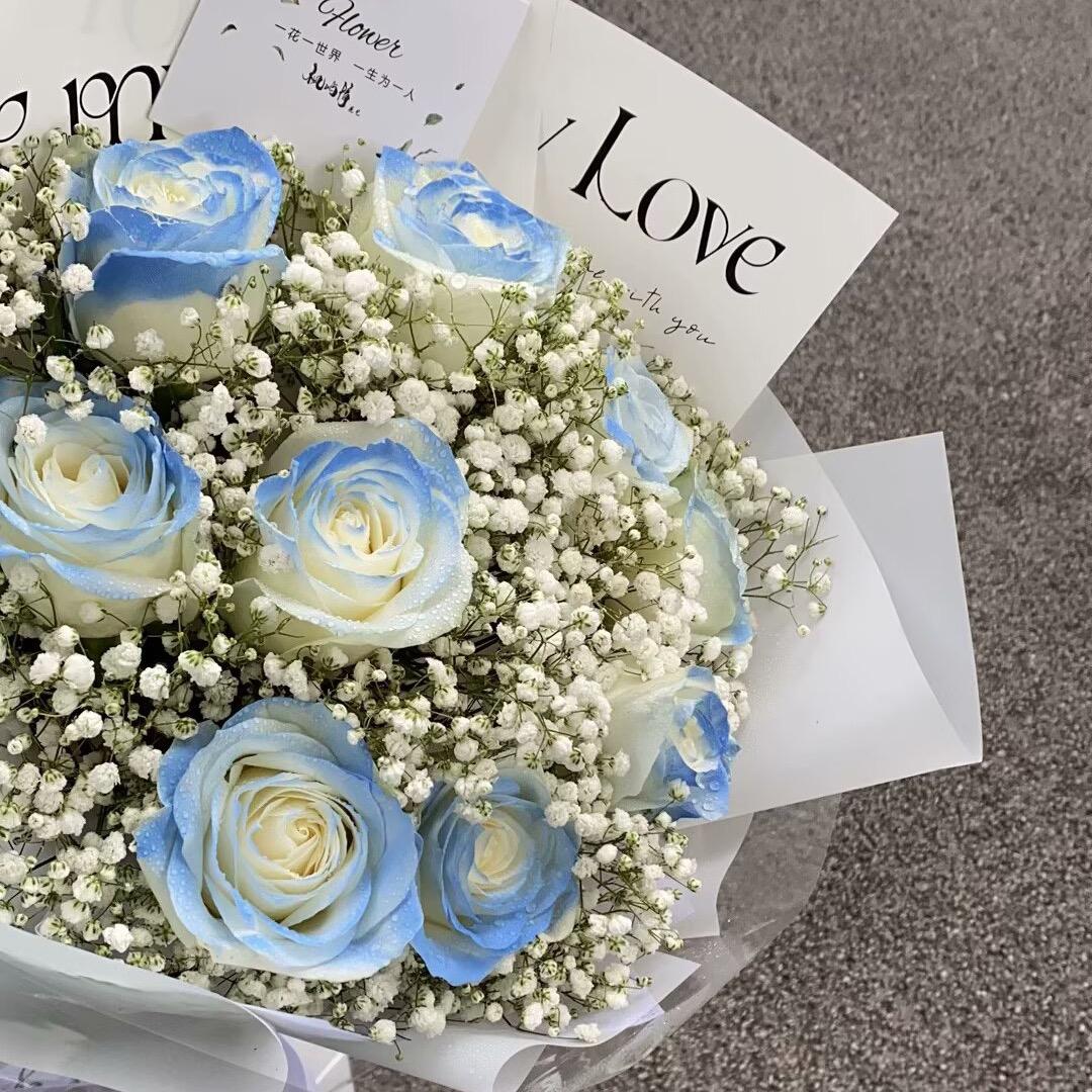 小羊爱吃胡萝卜