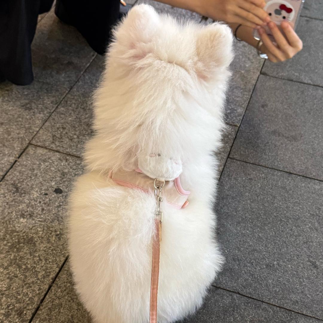 倔小桃🍑