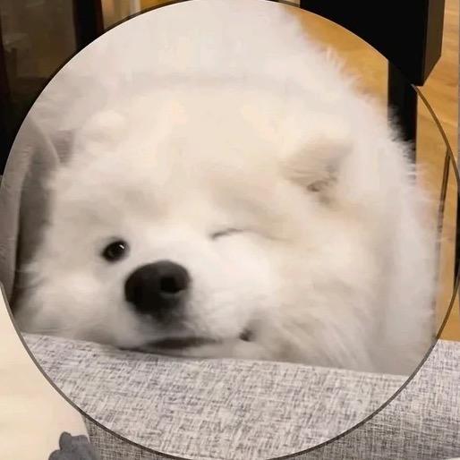 沉没云