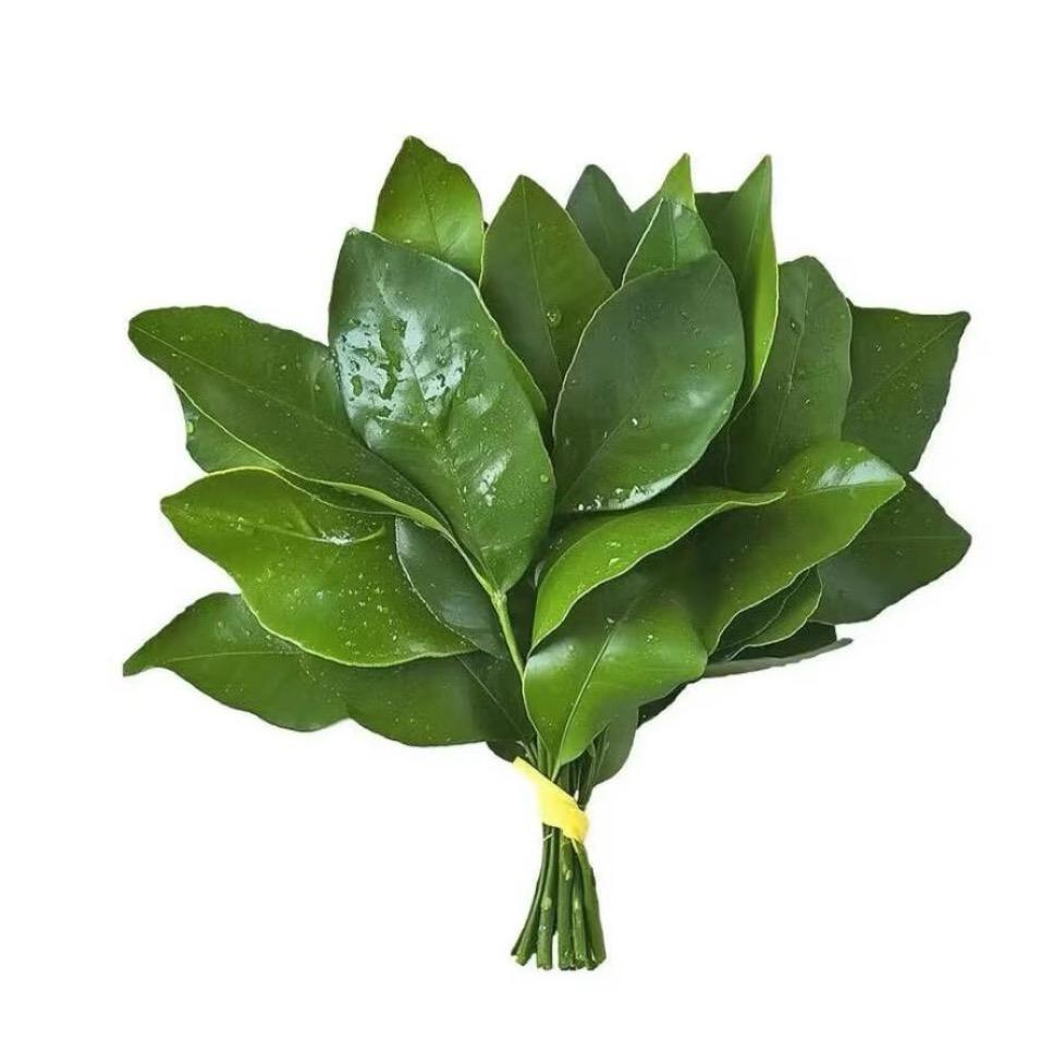 失言