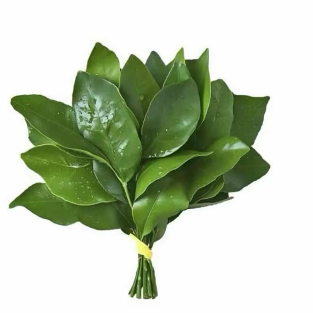 不爱吃姜吖