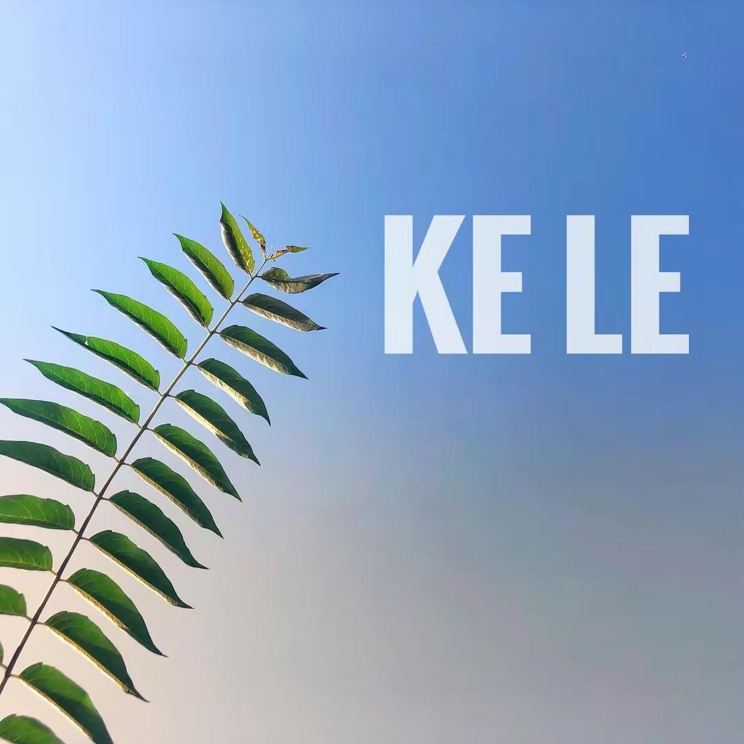广州白云哥