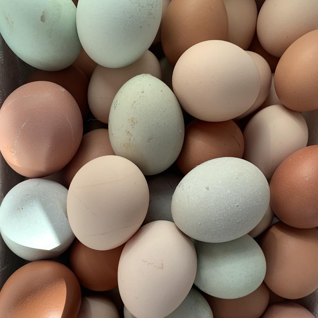 姥姥家的土特产