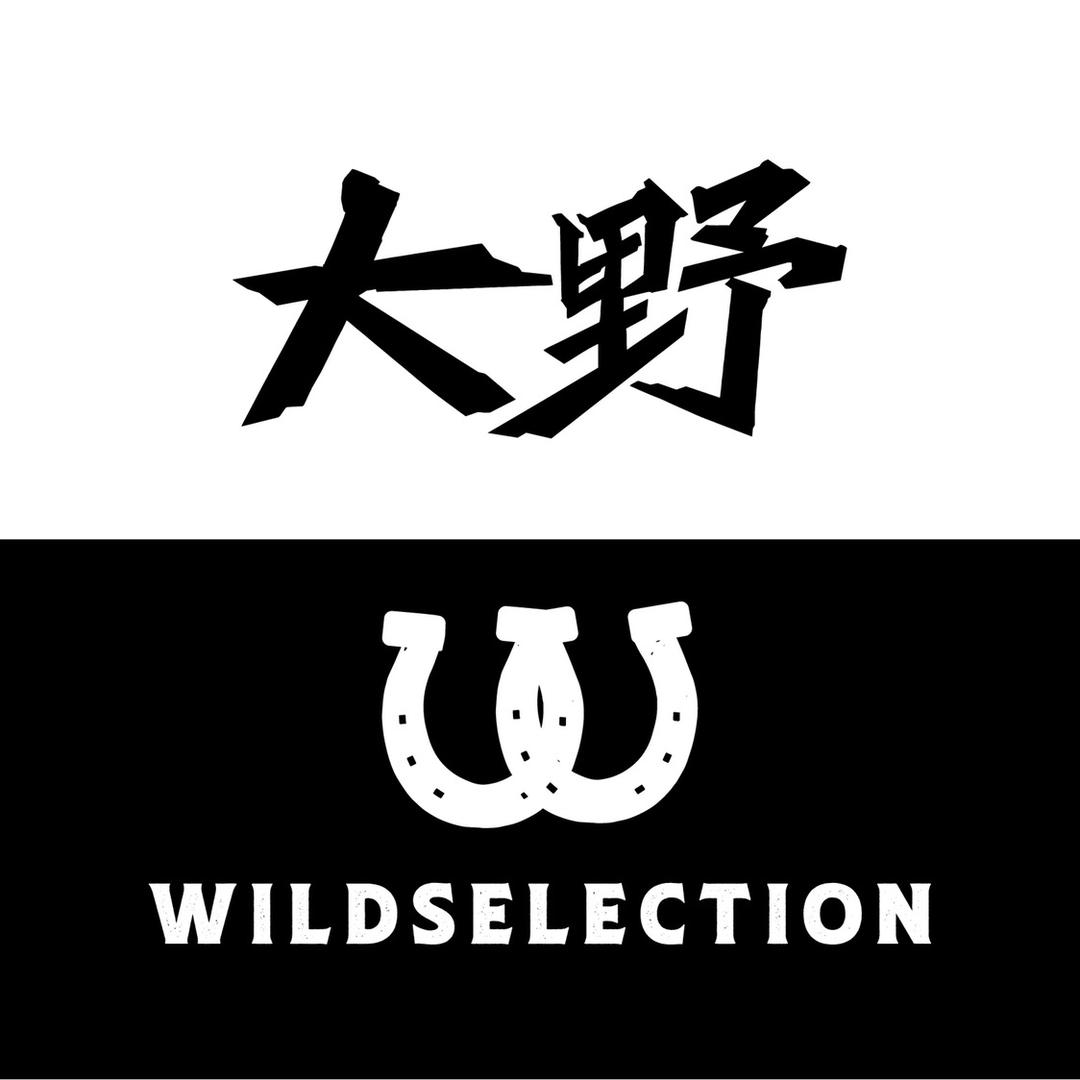 大野旗舰店