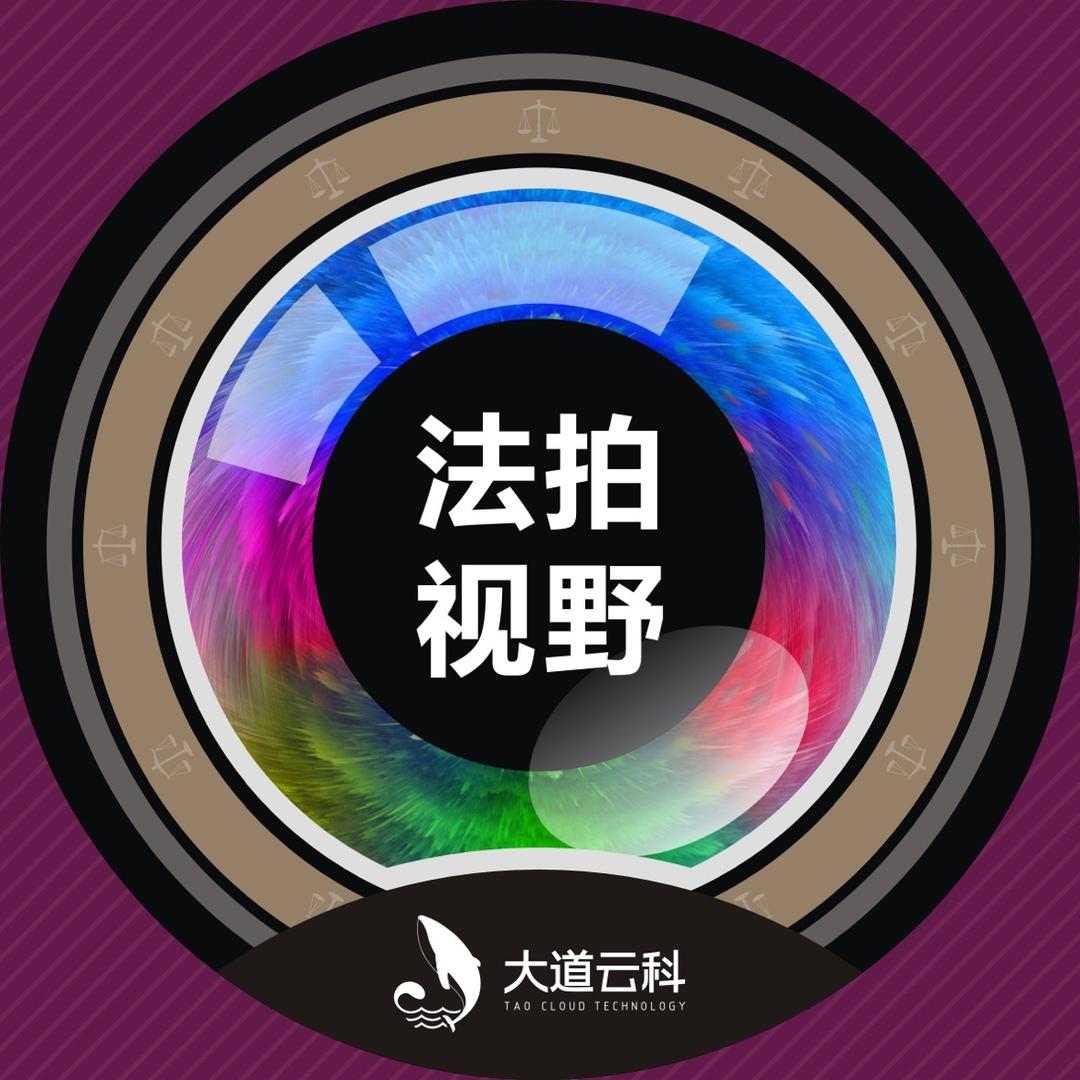 法拍视野