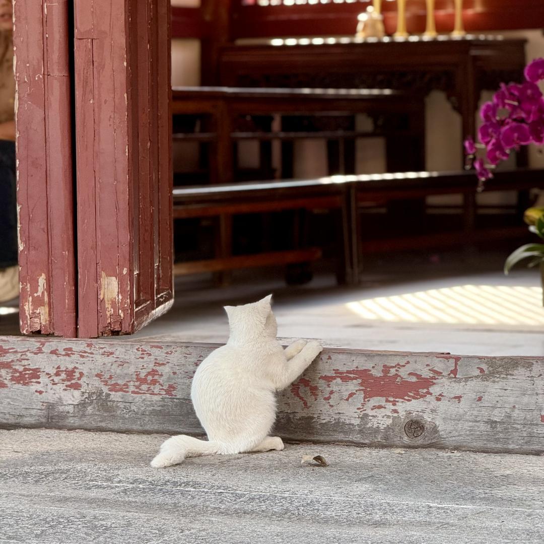 钕狻服饰工厂