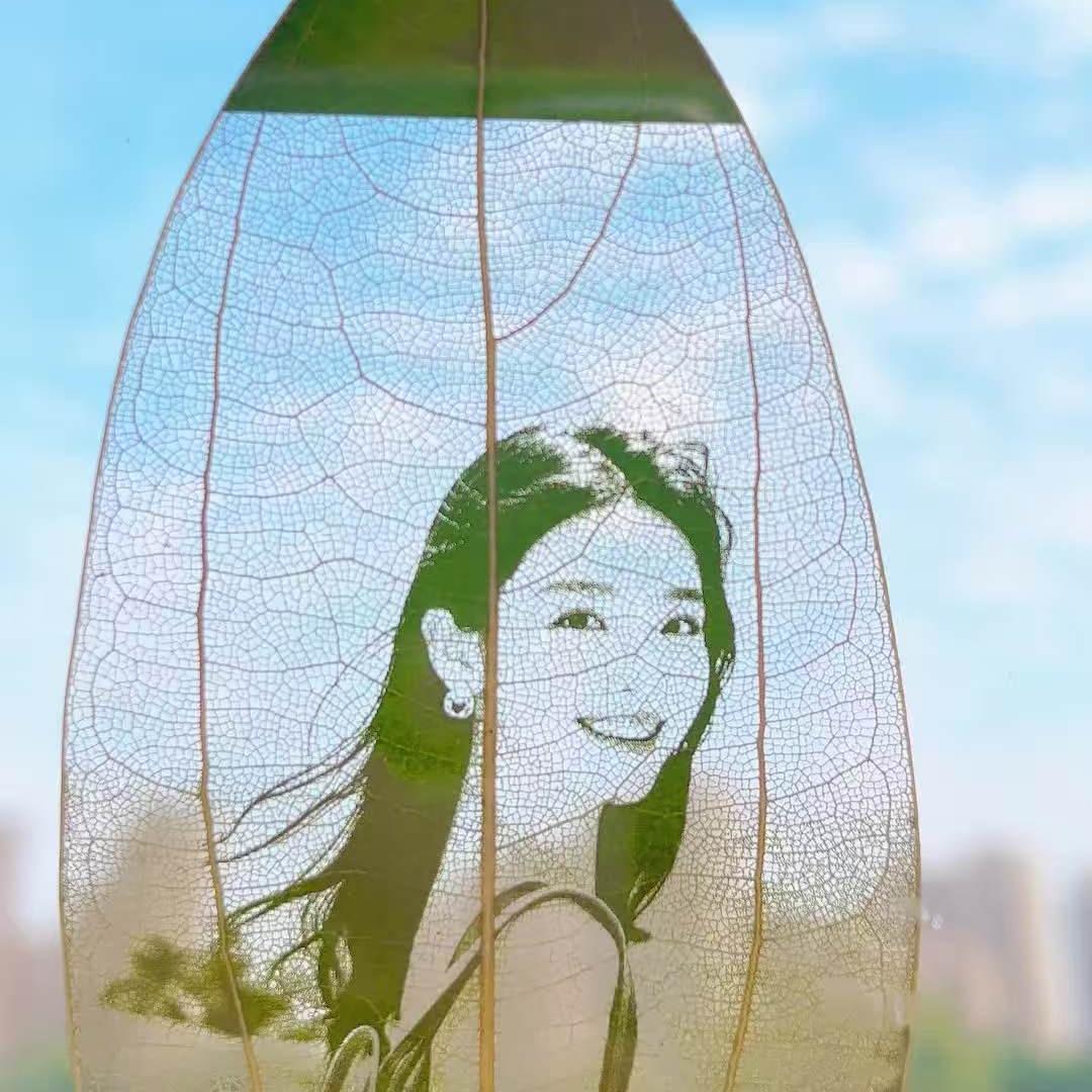 艺馨叶雕（私人订制）