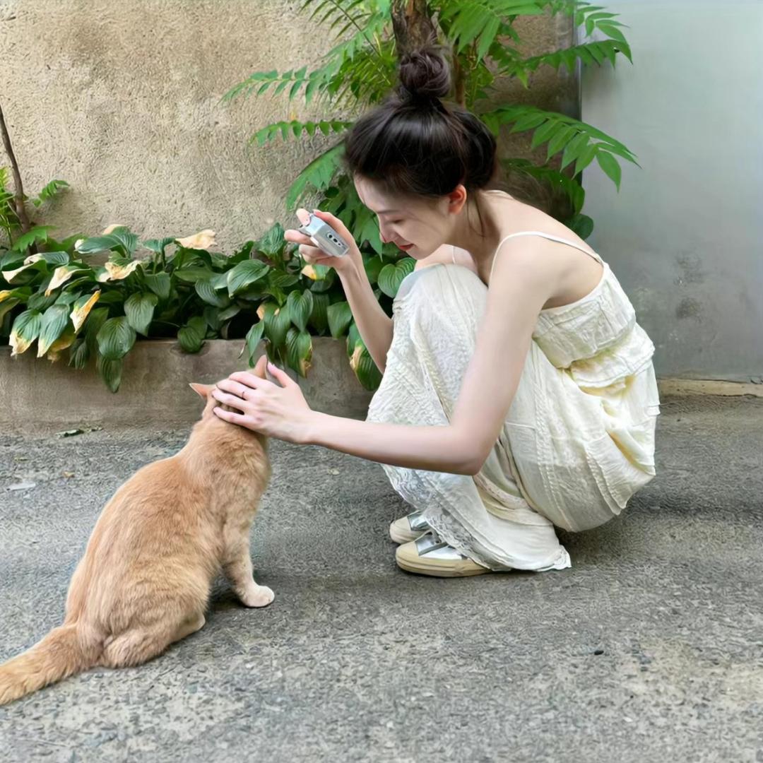 一只眠羊啊