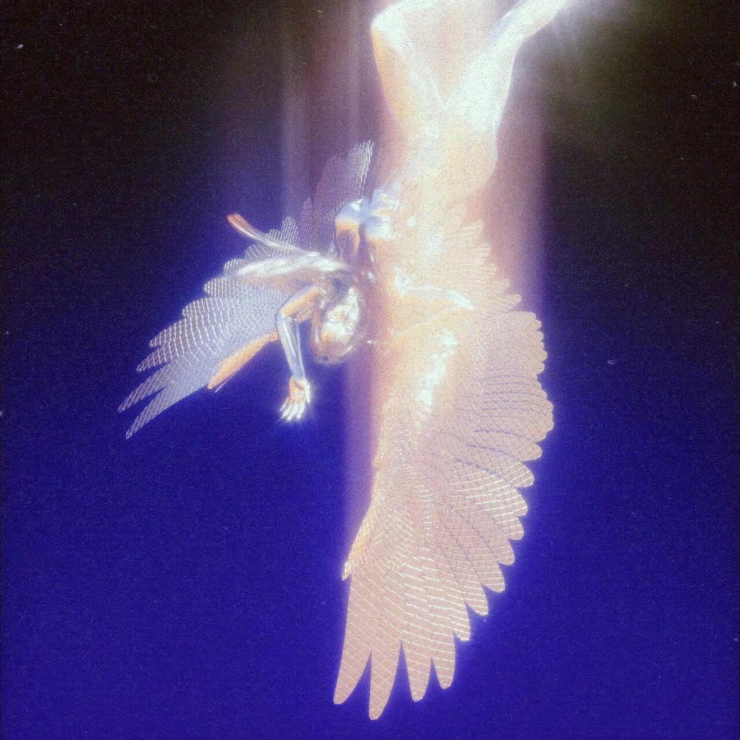 V05s