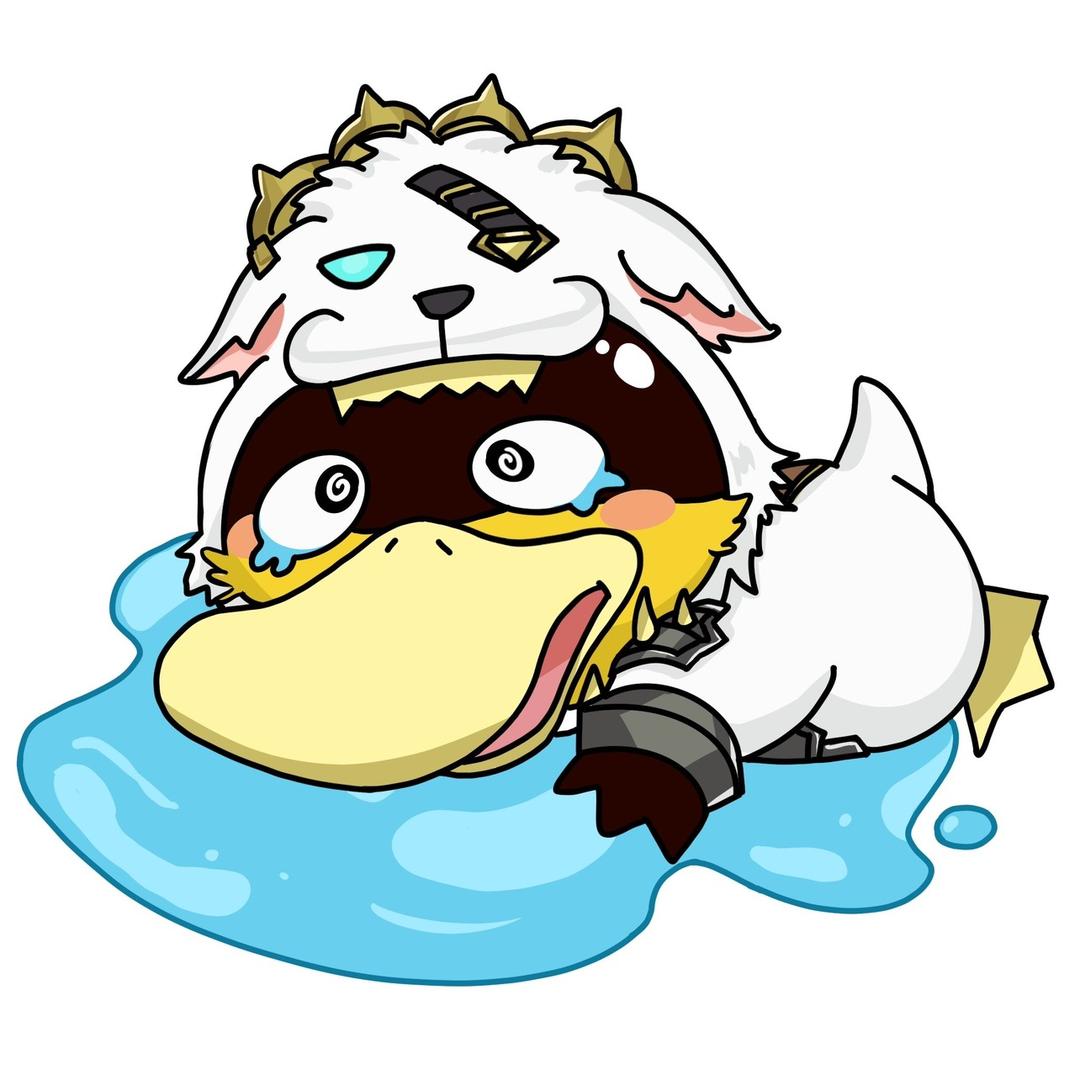 狮子喵