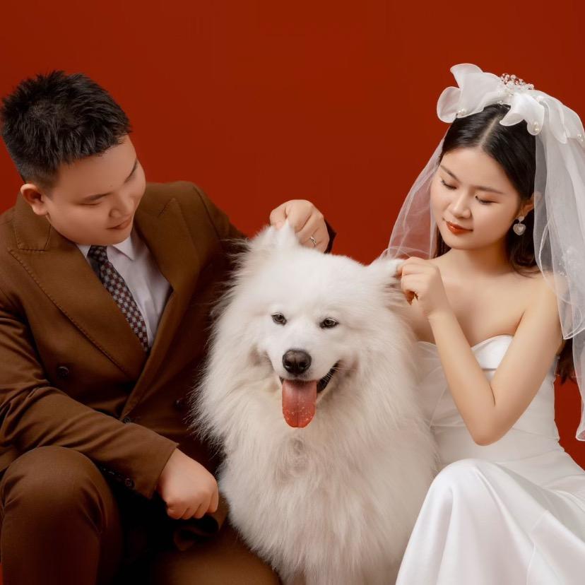 杨墩墩