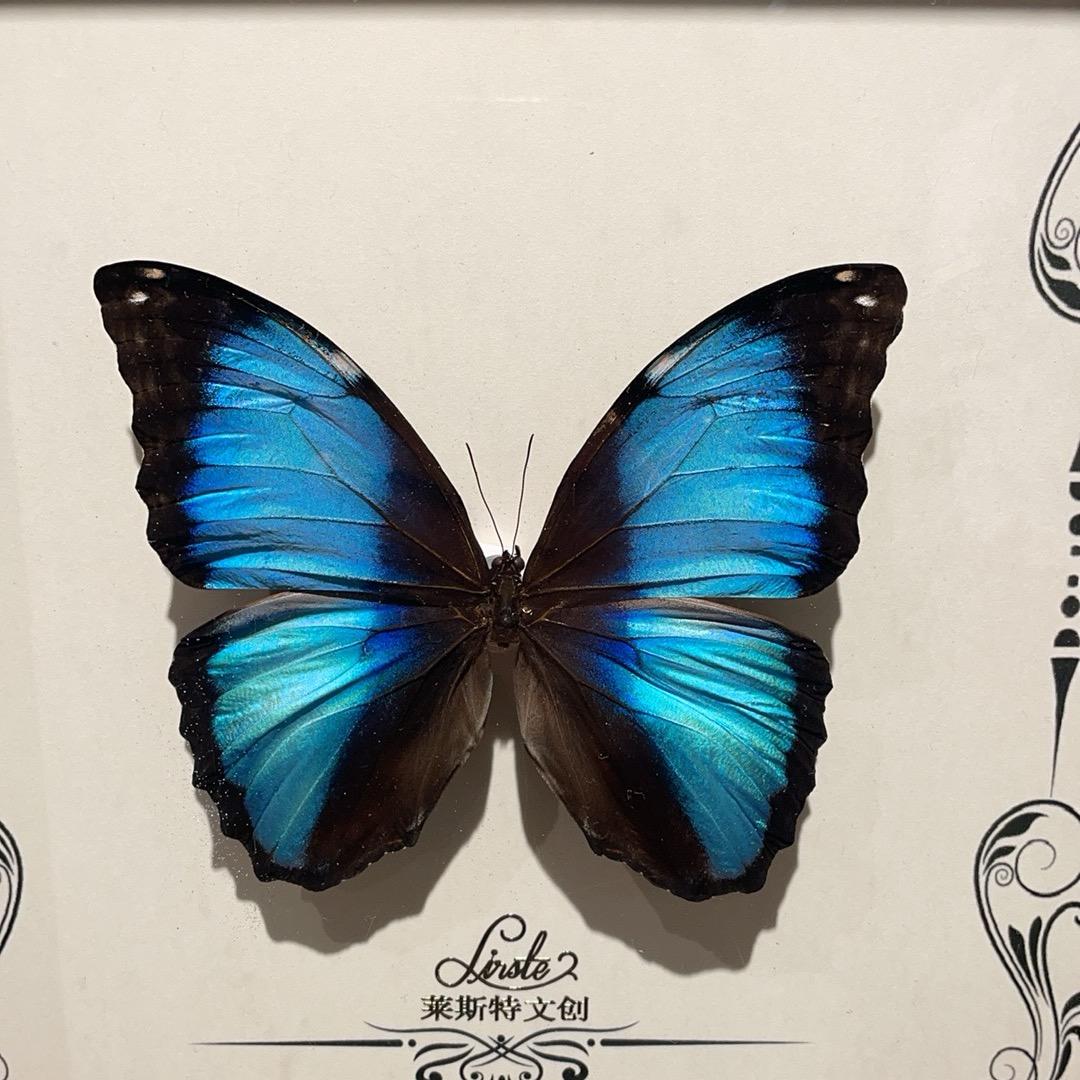 泾河新城任博家具销售店