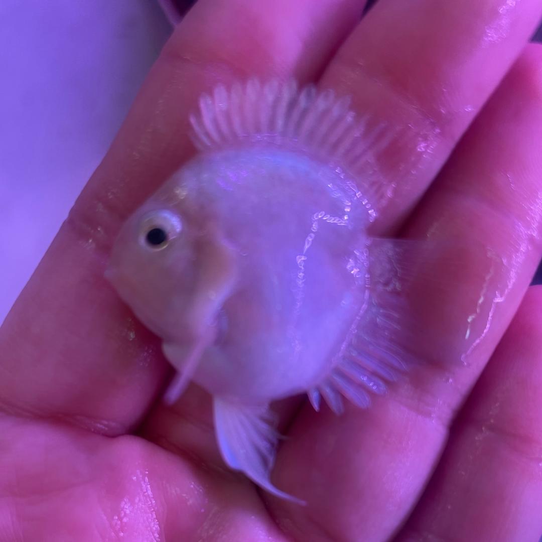 阿泽水族世界