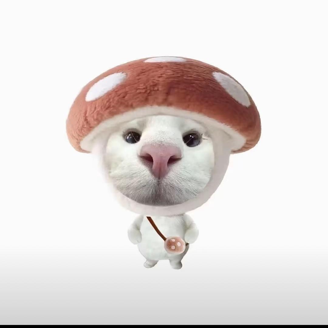 小_涵.