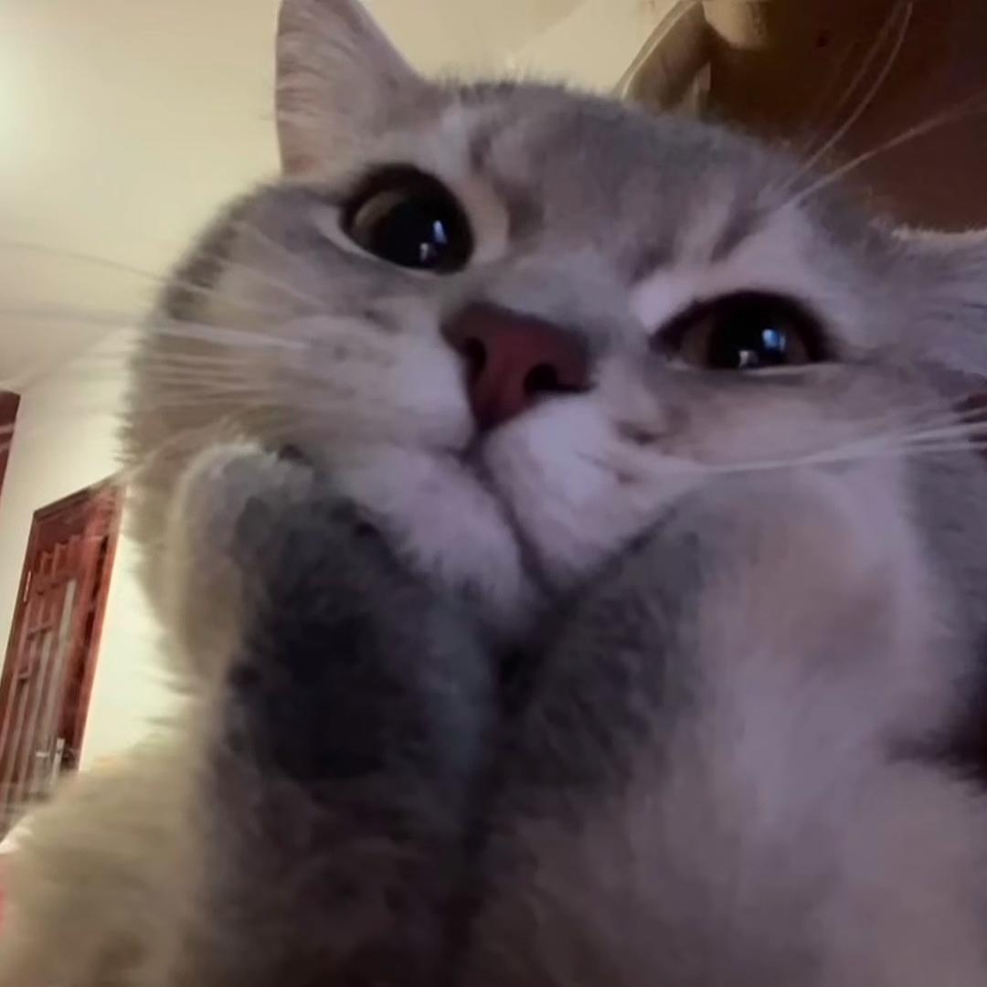 M.