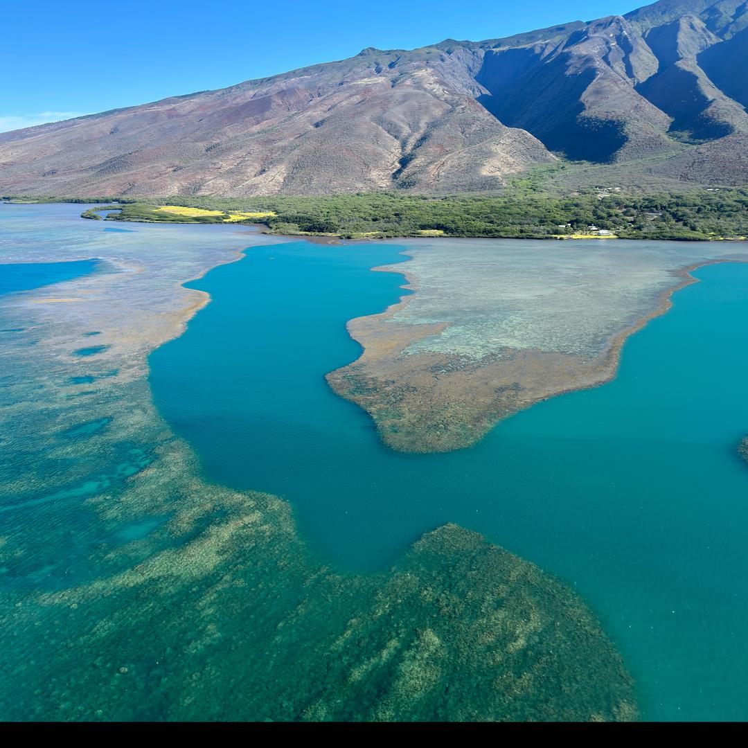 云南滇景旅行社（小团纯玩）