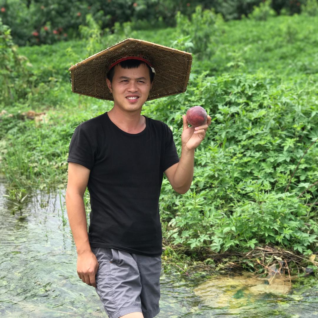 鲜达果园水果大叔-专业卖榴莲@抖音