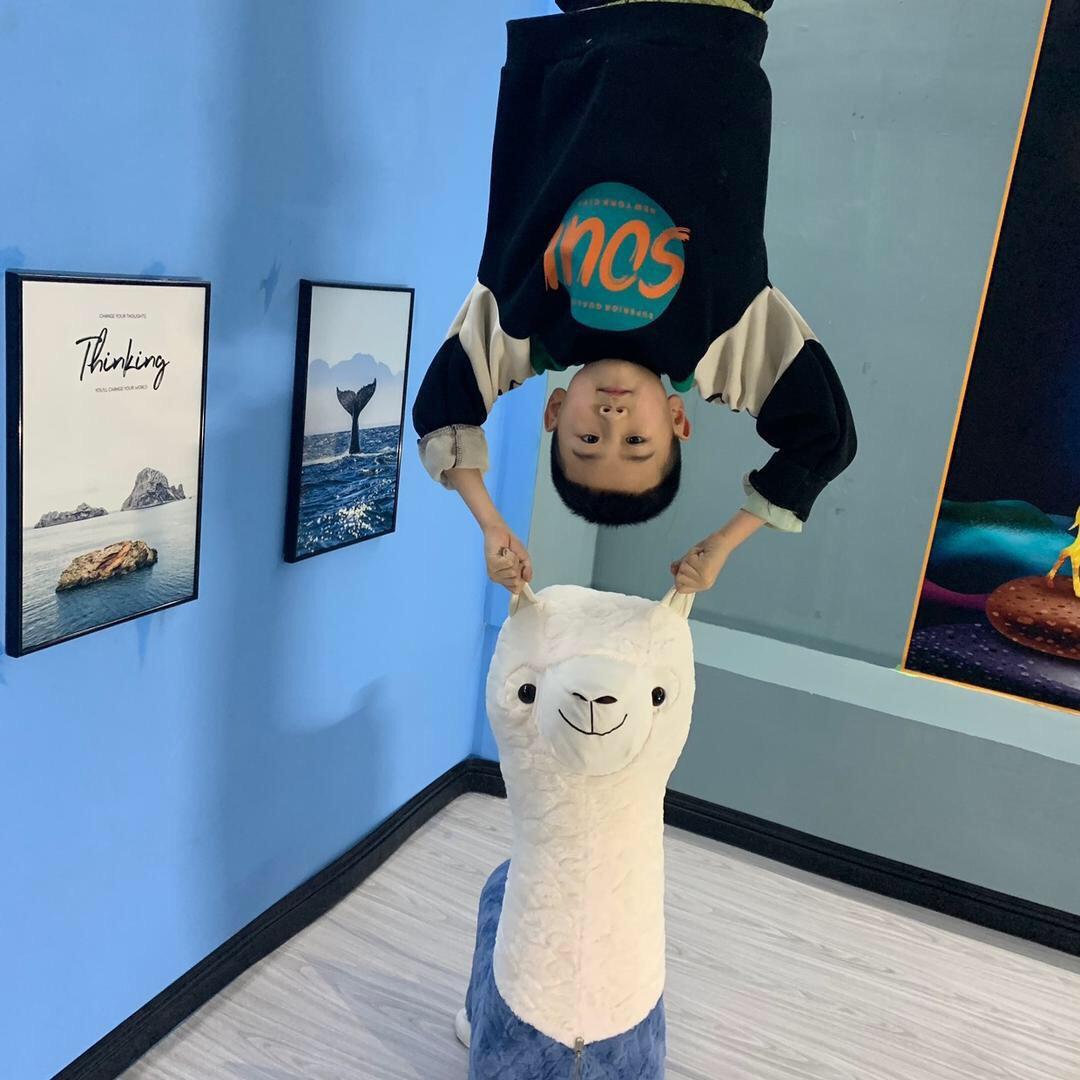 癫狂的皓子@抖音