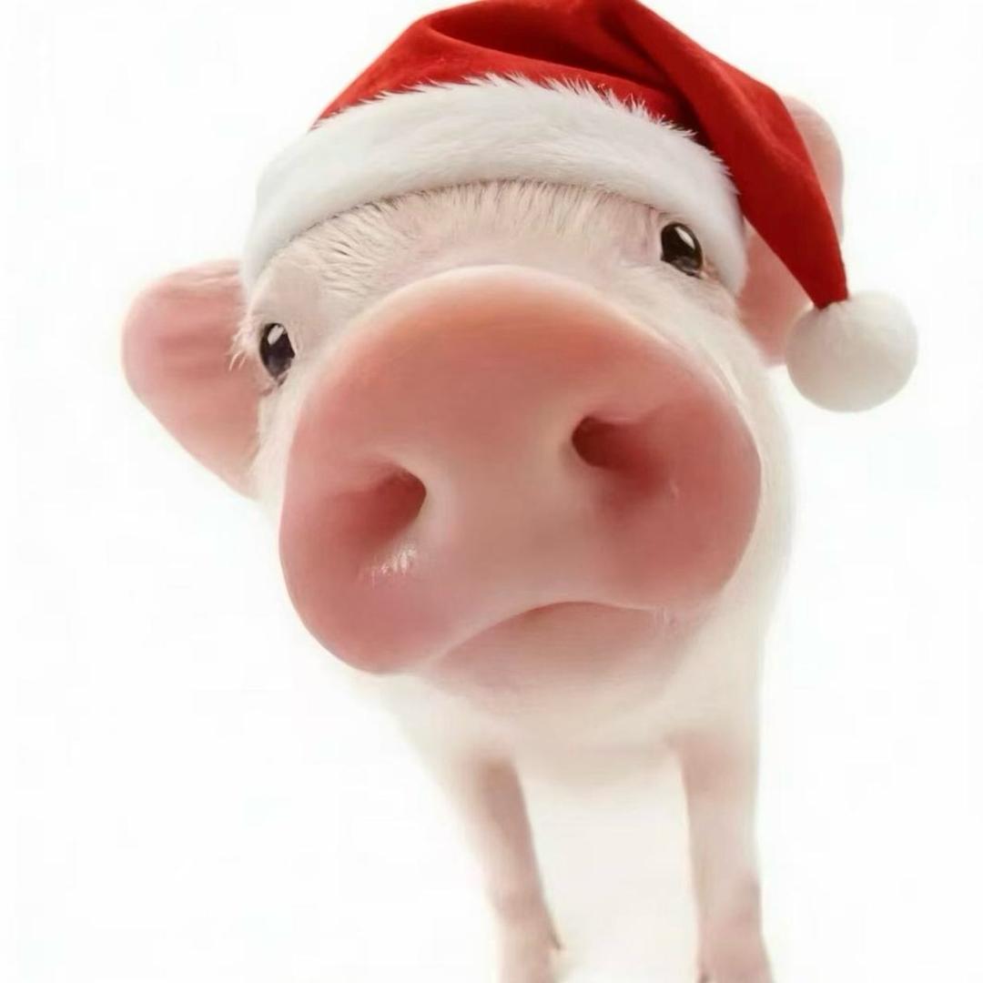 是谁偷了我的钙片